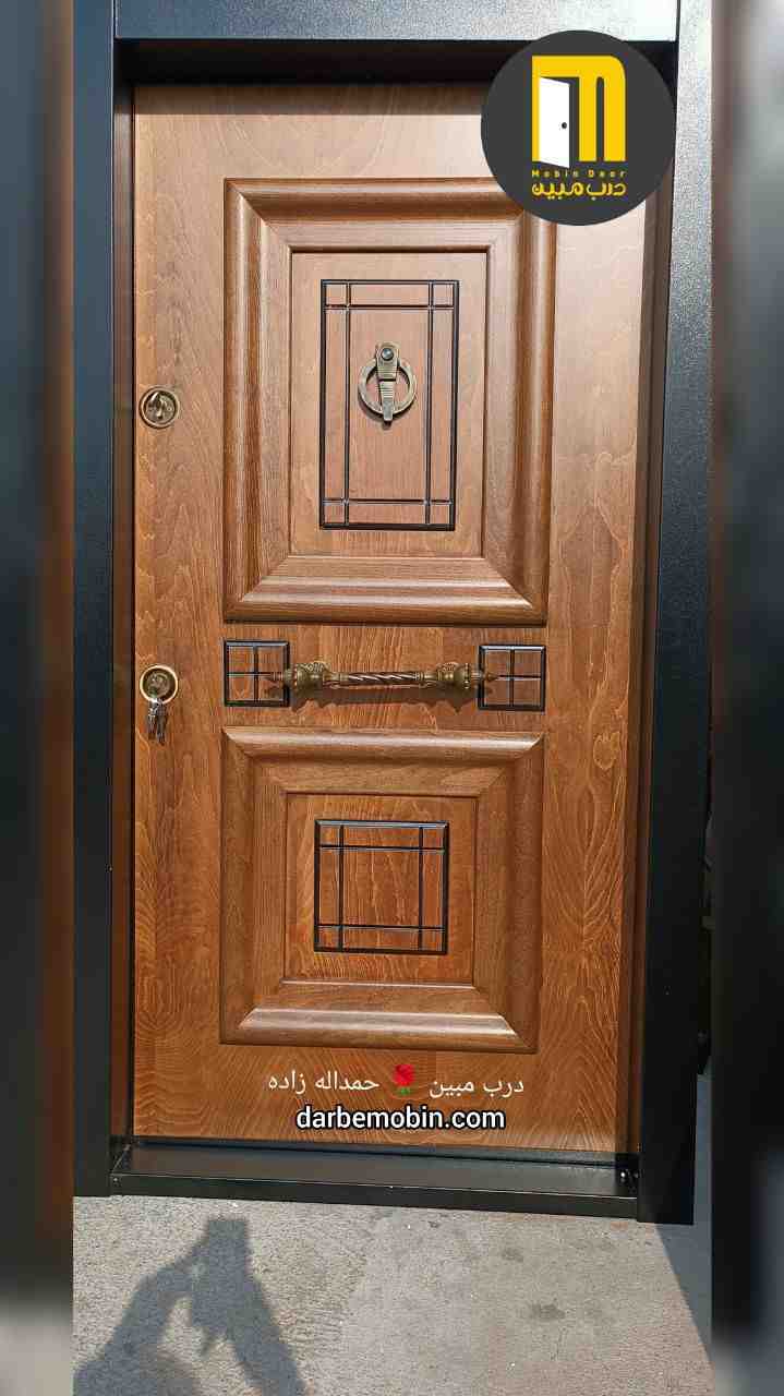 درب ضدسرقت آبنوس 8میل روکش راش